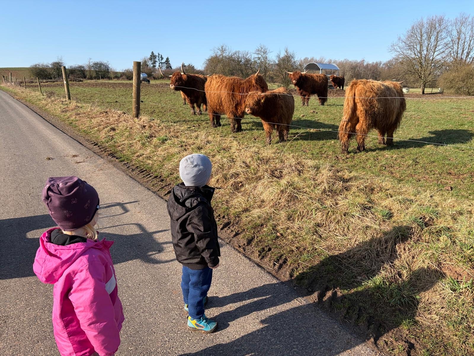 Kinder beobachten Tiere